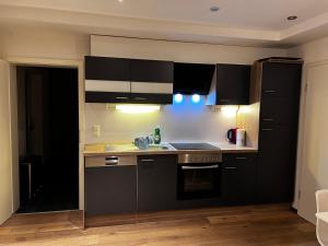 a kitchen with black cabinets and a sink at Moderne Wohnung mit Ausblick in Niedernhall +7 photos