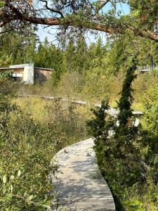 une ombre d’arbre sur un chemin dans un champ dans l'établissement Maven Kustnära Stugor, à Kappelshamn