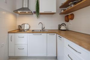 Kuchyň nebo kuchyňský kout v ubytování Apartments Hana