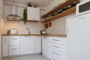 Kuchyň nebo kuchyňský kout v ubytování Apartments Hana