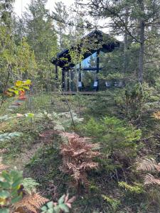 a house in the middle of a forest at Maven Kustnära Stugor in Kappelshamn