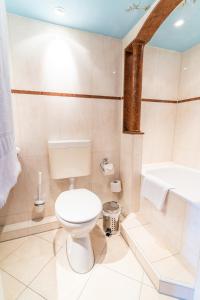 a bathroom with a toilet and a bath tub at Gasthof Römischer Kaiser in Ellingen