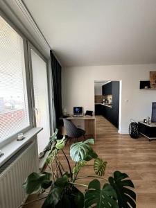 salon z dużym oknem i rośliną w obiekcie Modern Central Apartment w mieście Nitra