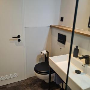 a bathroom with a black toilet and a sink at Seeschloss 30 in Dahme