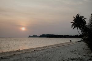a person walking on a beach with a palm tree at Soukaina Beach Bungalow in Koh Phangan