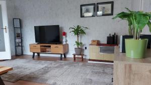 sala de estar con TV de pantalla plana y macetas en Ferienwohnung 'Frühauf' im Südharz OT Uftrungen, 