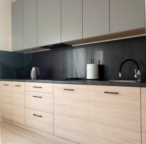 a kitchen with white cabinets and a sink at Apartamenty w Sercu Sosnówki in Sosnówka