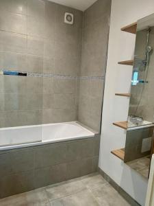 a bathroom with a shower and a bath tub at Le 41 in Dijon