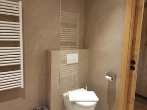 ein Bad mit einem WC und einer Glasdusche in der Unterkunft Aparthotel Hohe Brücke-NPHT Sommercard inklusive in Mittersill