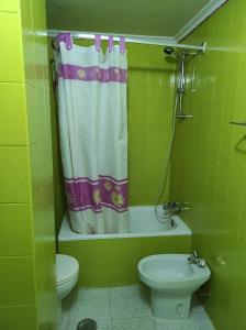 a green bathroom with a toilet and a shower curtain at TANISHOSTALRESTAURANTE in Riaño