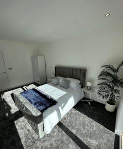 ein Schlafzimmer mit einem Bett und einer Topfpflanze in der Unterkunft Manchester's Prime - Luxurious 1-Bed Flat in Manchester