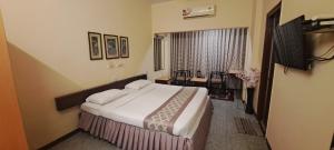 TV a/nebo společenská místnost v ubytování Hotel Swaroop