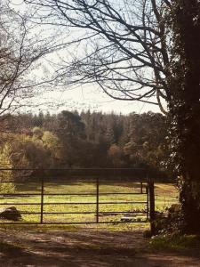 Imagen de la galería de Yurt Between Lilac and Fuchsia, en Mountshannon