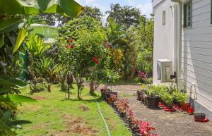 a garden with trees and red flowers and plants at Villa Tilapia Tropical in Capesterre-Belle-Eau