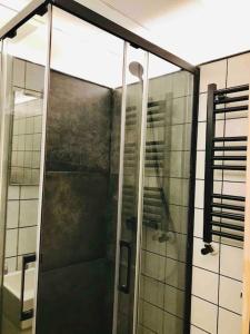 a shower with a glass door in a bathroom at 70m2 Loft with Patio only 20mn from Plaza Castilla C2 in Madrid