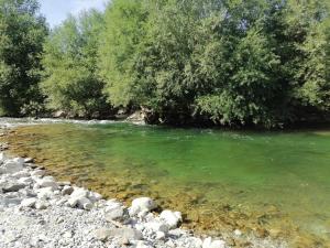 a river with green water and some trees and rocks at Apartment Mandy in Rečica ob Savinji