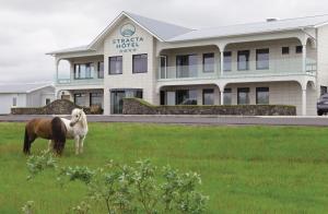 海拉Stracta Hotel的站在建筑物前田野上的马