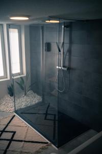 een badkamer met een douche met een glazen wand bij 50 Nuances d'Amour - Jacuzzi / Massage / Cinéma in Moirans
