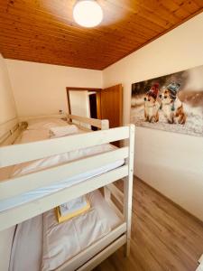 a bunk bed in a room with a picture on the wall at Gemütlicher Bungalow am Fuße der Wasserkuppe in Dipperz