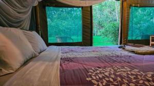 łóżko w pokoju z dużym oknem w obiekcie Dan Maasai Mara safari camp w mieście Sekenani
