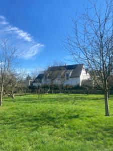 una grande casa bianca in un campo di erba verde di Nummer 151 villastudios a Hasselt