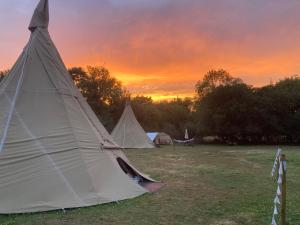 a group of tents in a field at sunset at Hillcroft Holiday - Dragonfly Lodge, Woody Hut & Alpaca My Tipi Glamping in Billingshurst