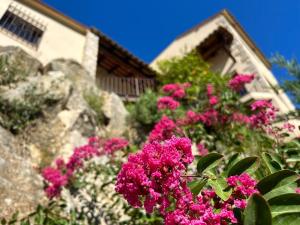 un ramo de flores rosas delante de una casa en Luxury Villa Girona Bellissimo, en Girona