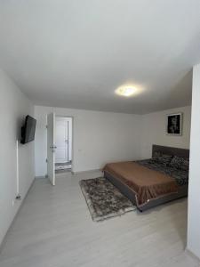 a bedroom with a bed and a television in it at Pensiunea Amira in Năvodari