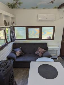 a living room with a couch and a table at Theea's tiny house in Certeju de Sus