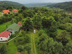 an aerial view of a house with a van in the forest at Theea's tiny house in Certeju de Sus