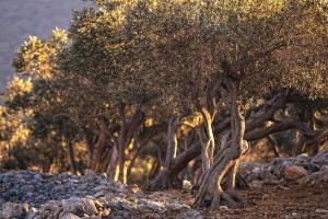 Fotografie z fotogalerie ubytování Apartment Beach Stara Porozina v destinaci Porozina