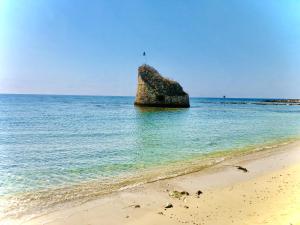 una roccia nell'acqua vicino a una spiaggia di Villetta Marty a Torre Pali