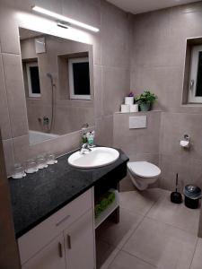 a bathroom with a sink and a toilet and a mirror at Appartement Kieler in Haus im Ennstal