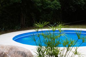 a blue pool with some plants in front of it at Allende Suite Departamentos in Villa Allende