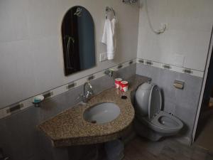 瑞詩凱詩的住宿－Ayurveda Bhavan，一间带水槽、卫生间和镜子的浴室