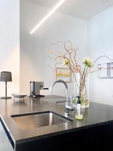 Zehuus Gartenstudio mit Terrasse في كولونيا: طاولة مطبخ مع حوض و مزهرية من الزهور