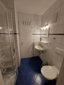 a bathroom with a toilet and a sink and a shower at Seeblick Wohnung 116 in Ostseebad Koserow