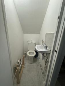 La petite salle de bains est pourvue de toilettes et d'un lavabo. dans l'établissement Hatton Homes - Tottenham Hotspurs Stadium, à Londres