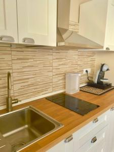 a kitchen counter with a sink and a mixer at Casa Luciana Apartment in San Giovanni Rotondo