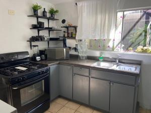 a kitchen with a stove and a sink and a microwave at Zebra Studio in Tijuana