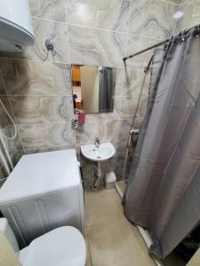 een badkamer met een toilet en een wastafel bij ARMONIE AIRPORT HOSTEL in Băcioi