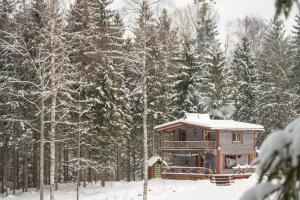 Elupuu forest cabin with sauna v zimě