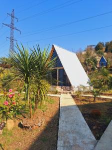 Zahrada ubytování Paradise cottage