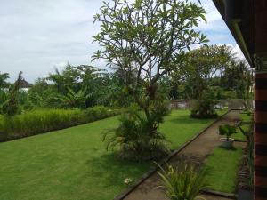 Zahrada ubytování Tamiu Guesthouse at Desa Wisata Keramas Near Keramas Surf Beach