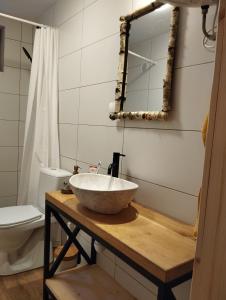ein Badezimmer mit einem Waschbecken und einem WC in der Unterkunft Ajurweda na Jurze Agroturystyka 