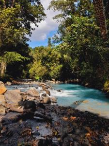 San Rafael的住宿－Onca Tours & Treehouses，丛林中的一条河流,有蓝色的海水和树木