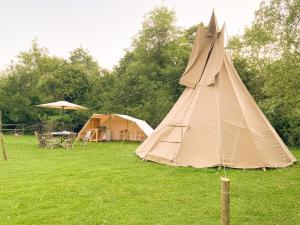 une tente dans un champ avec une table et des chaises dans l'établissement Dragonfly Lodge Ifold & Alpaca My Tipi Glamping, à Billingshurst