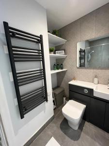 a bathroom with a toilet and a sink at Mary McGill’s in Ballycastle +18 photos