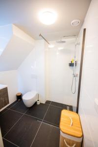 a bathroom with a toilet and a shower at Beautiful 2-bedroom apartment 76m2 BSh-27 in Rotterdam