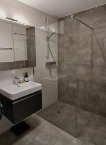 uma casa de banho com um chuveiro, um lavatório e uma cabina de duche em vidro. em Alpenpanorama Oase em Feldkirch